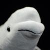 lilizzhoumax Beluga Plush Realistic Deep Sea Fish Plush Whale Ocean Plush Shark Plush Boys and Girls Soft and Garden Home Whale 50cm Toy, Toy, Toy,