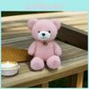 Plush Teddy Bear Toy Play Animal Doll Creative Cute Bear Doll Gift Birthday