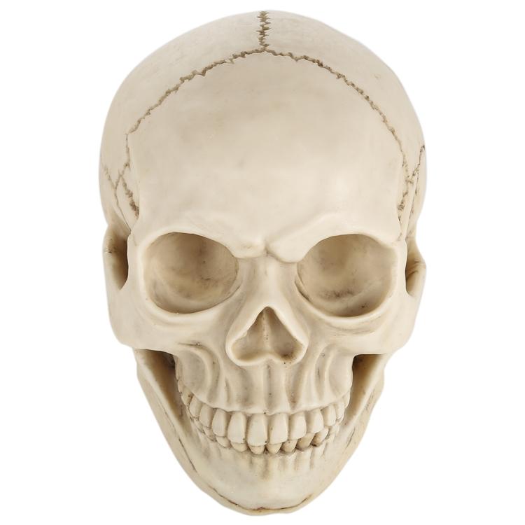 Skull Head Hallowmas Prop Gadget Display, Size: 19(L) x 13(W) x 14cm(H)(White)