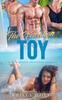 The The Vacation Toy : A Reverse Harem Adventure Romance Book