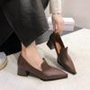 Fashion Spring New Single Shoe Women Fashion Pointy Mid-mouth Slip-on Anti-slip and Wear-resistant Temperament Square Heels Women's Shoe