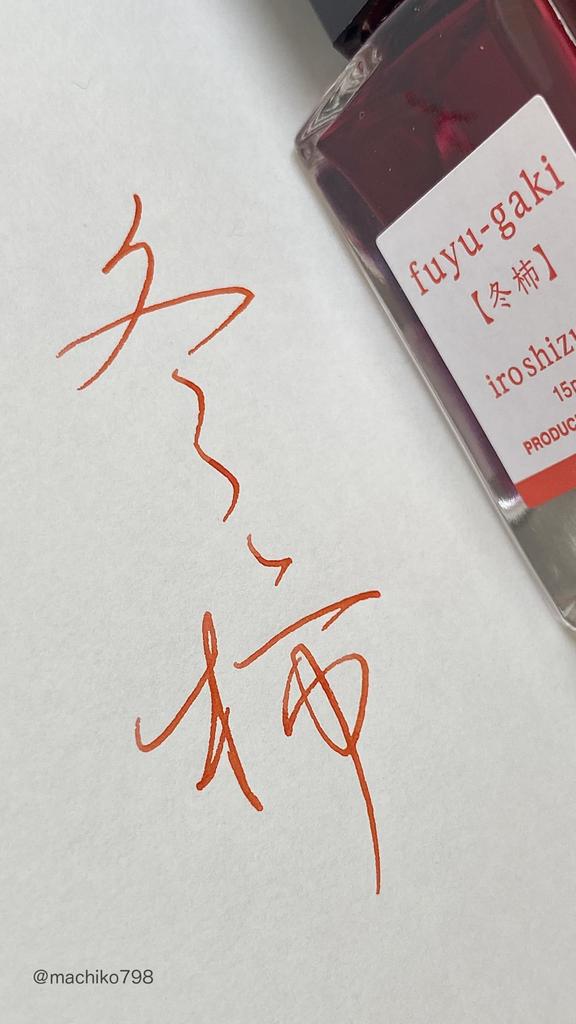 PILOT Iroshizuku Зимняя хурма Чернила INK50FG