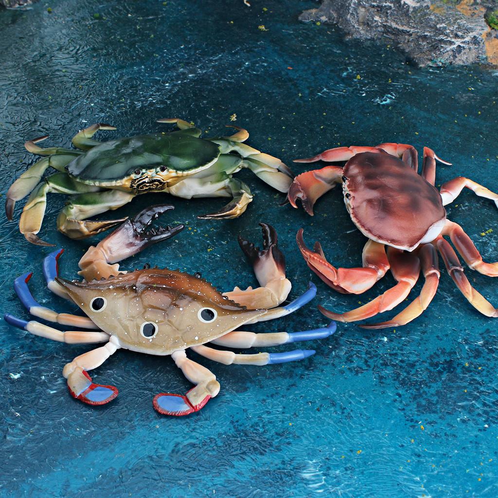 Marine Life Crab Replica For Kids Learning Aquarium Decoration Pvc Collectible