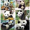 Новый 5D DIY алмазная живопись Панда Алмазная вышивка цветок вышивка крестиком полный круглый дрель ремесла домашний декор ручной подарок
