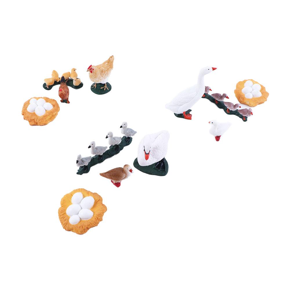 Toys Miniature Cycle Duck Figurine Life Cycle Figures White Goose Growth Cycle Simulation