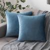 2 шт., высококачественные наволочки, против морщин, прочные, не выцветают, удобные, плюшевые, квадратные чехлы на подушки