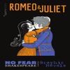 Romeo and Juliet Paperback Book 9781411479890