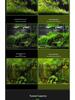 Aquatic Plant LED Light for Fish Tanks, Algae Control, Native and Stream Tanks, Moss Growth, and Plant Tanks.