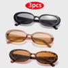 3PCS/2PCS Plastic Small Frame Oval Classic Decorative Fashion Sunglasses For Outdoor Travel Driving Seaside Holidays