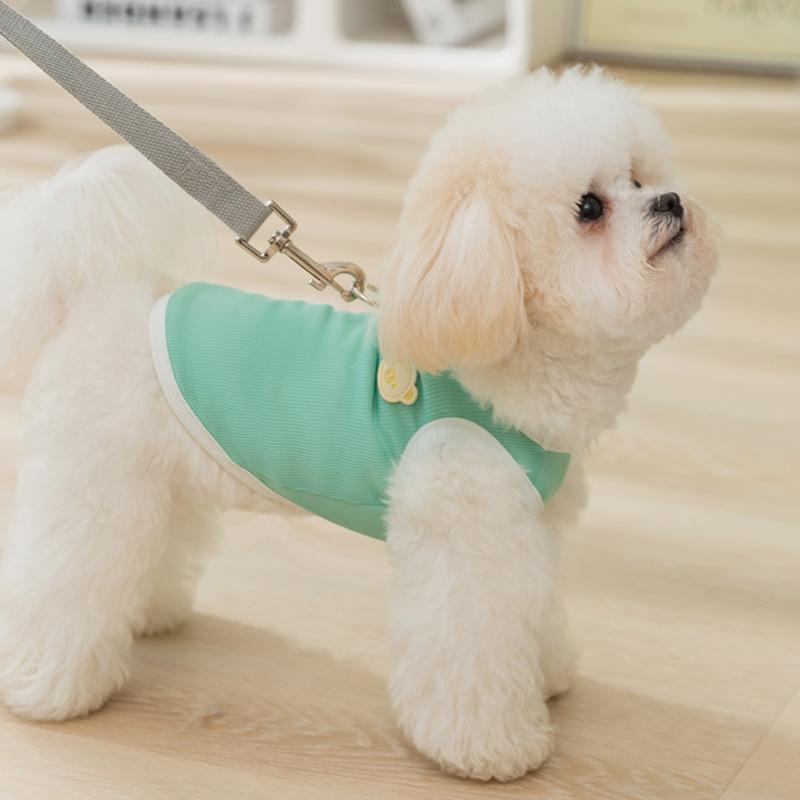Весенне-летняя корейская версия простого зеленого кожаного лейбла с милым медведем, наклейка на жилет для маленьких собак, кошек, домашних животных
