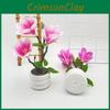 Artificial Magnolia Flower Pot Decor For Wedding Home Office Photography Scene