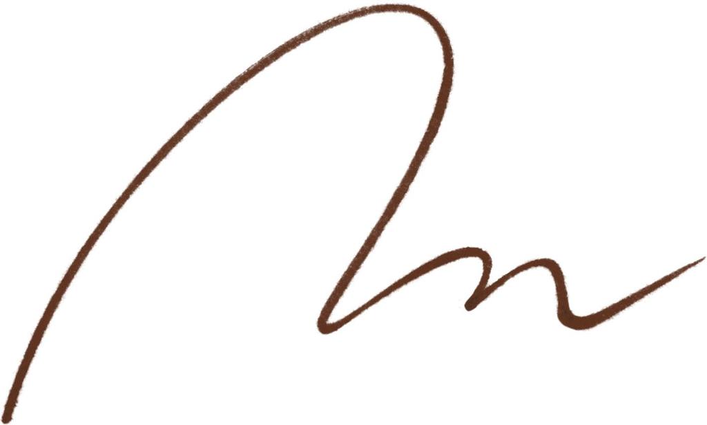 Короткая кисть dejavu Liquid 3 черный коричневый