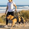 Breathable Pet Leg Support Adjustable Dog Full Body Lift Harness Dog Support Sling  Sprain Nursing
