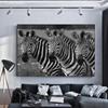 Африканские черно-белые плакаты с изображением зебры, животные, настенная природа, современное искусство, холст, живопись, печать, фотографии для гостиной, дома, украшения детской комнаты в рамке