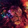 50x50cm 5D DIY Diamond Painting New Arrivals Lion Diamond Embroidery Sale Animal Rhinestones Mosaic Handmade Gift