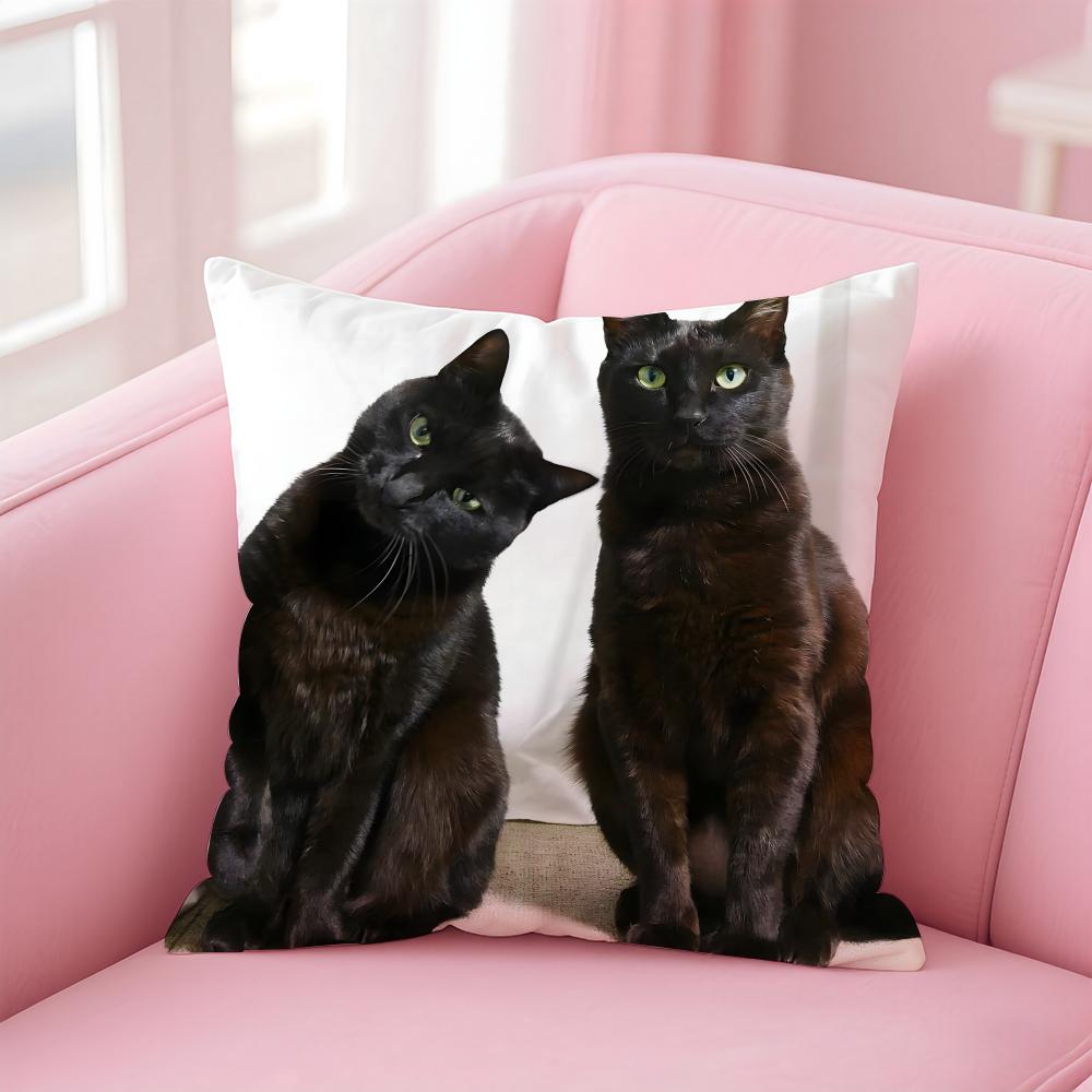 LLittle Black Cat Couple Cushion Cover Pillow Case Soft Friendly Fabric Concealed Zipper