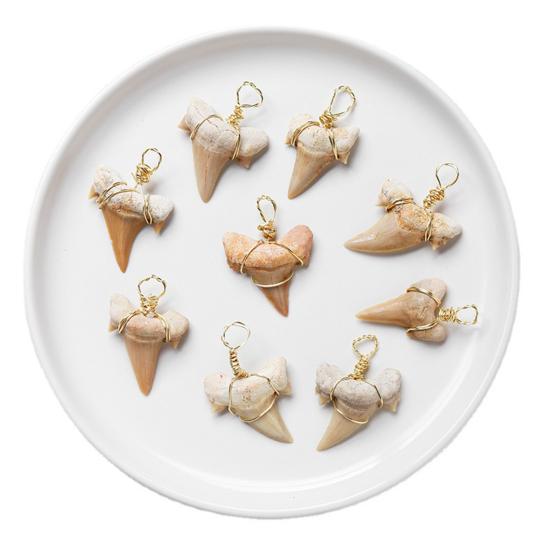 Привлекательное ожерелье Тонкая работа Сплав Подвеска в форме зуба акулы Ожерелье для повседневной носки