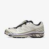 L49202300 XT-6 GORE-TEX Эвкалипт Серебристо-Шалфейный (Мужской)