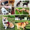 Small Medium Large Dog Harness Strong Harness Vest for Dogs Pet Shop Everything for Dogs Golden Retriever Chihuahua Accessories