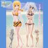 IS Infinite Stratos EX Summer Beach Figure of Complete Complete [Prize] (Set 2)