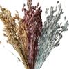 Flytrap Dried Flowers for Weddings & Home Décor - DIY Flower Arrangement with Real Flowers & Fruit