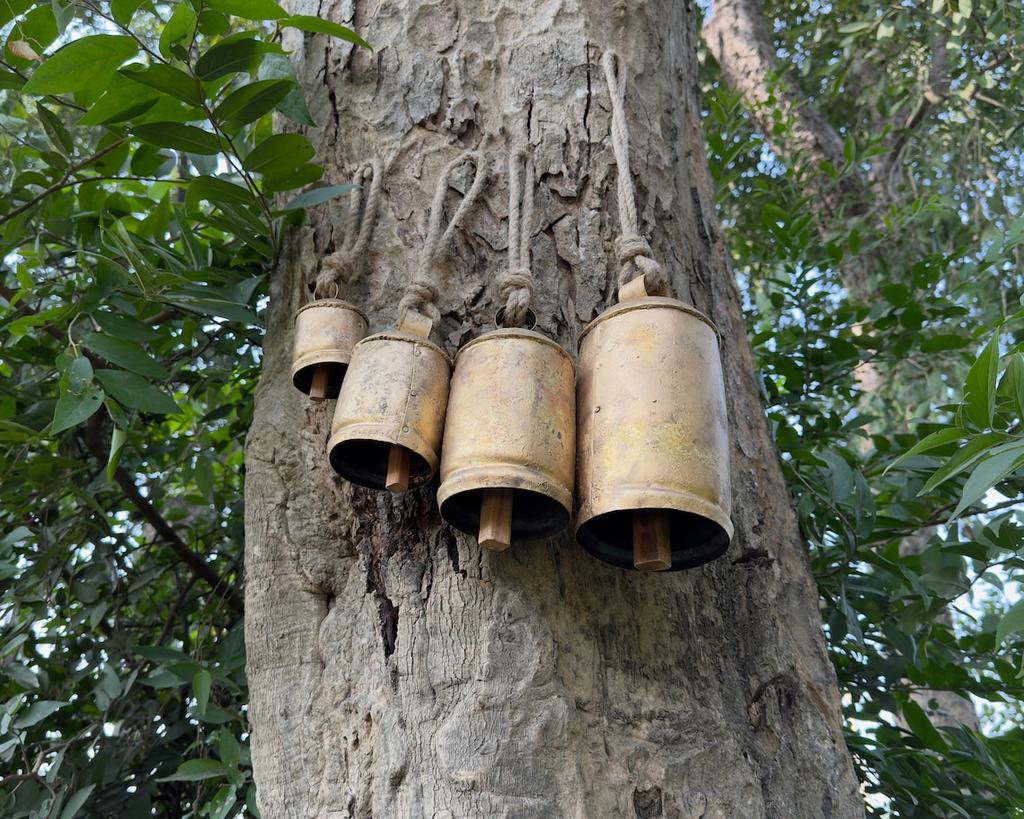 Brass Cow Shabby Chic Country Style Rustic Metal Hanging Giant Cow Bells On Jute Ropes Decor Set of 3
