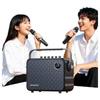 Портативная Bluetooth-колонка SANSUI U12 для KTV (Китайская версия)