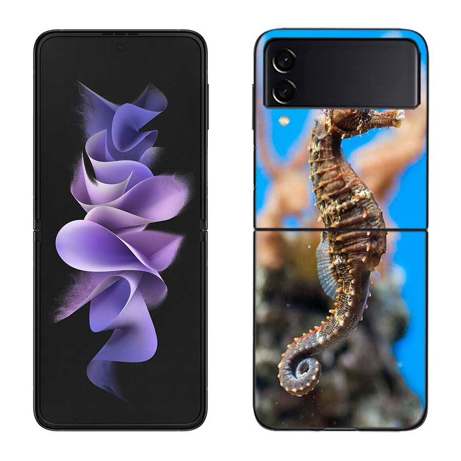Seahorse Underwater Fantasy Case For Samsung Z Flip 6 5G Galaxy Z Flip 5 4 3 5G Black Hard Cell Phone Cover Luxury PC Shell Coqu