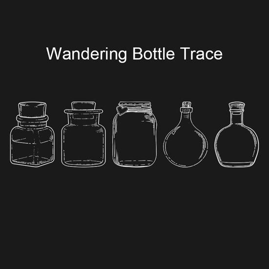 Transparent Dried Flower Bookmarks Handmade Clear Floral Bookmark Wishing Bottle Stickers Without