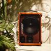 MiGao MG-T3 Portable Live Performance & Karaoke Speaker