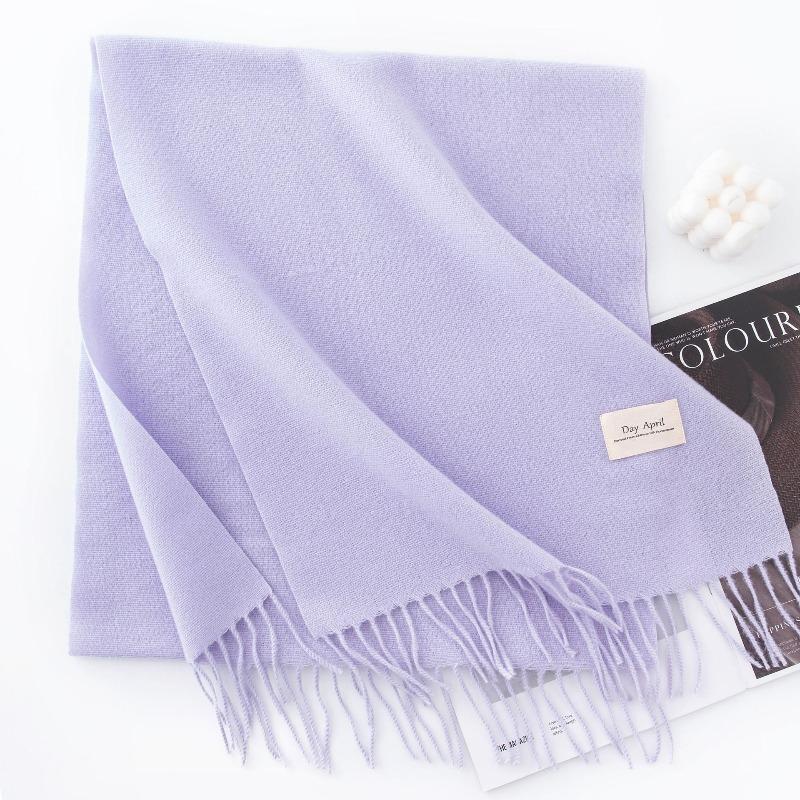 New Solid Color Maillard Imitation Cashmere Scarf for Women Autumn and Winter High End Warm Shawl Simple Scarf