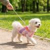 Cooling Pet T-Shirt Thin Breathable Sun Protection Clothes Dog Sunscreen Clothes  Outdoor Activity