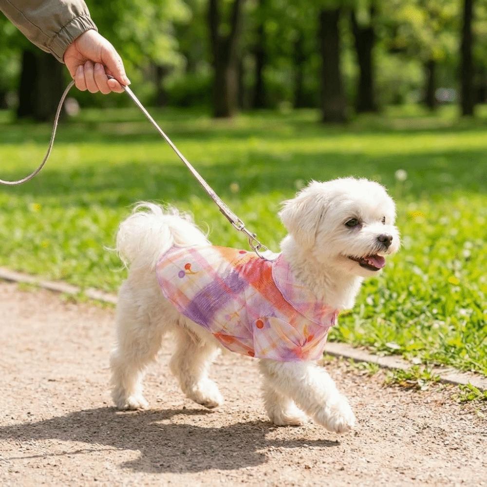 Cooling Pet T-Shirt Thin Breathable Sun Protection Clothes Dog Sunscreen Clothes Outdoor Activity