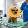 Sunflower Shaped et Recovery Collar Soft Foam Anti-Lick Neck Ring  Skin Recovery Care