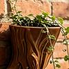 3D Printed Tree Planter Pot Wall Mount Flowerpot Herb Climbing Plants Holder Hanging Pot Home Balcony Indoor Outdoor Garden Decoration