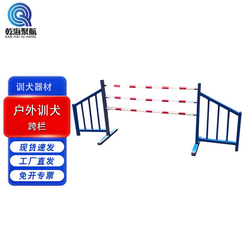 Professional Outdoor Dog Training Equipment