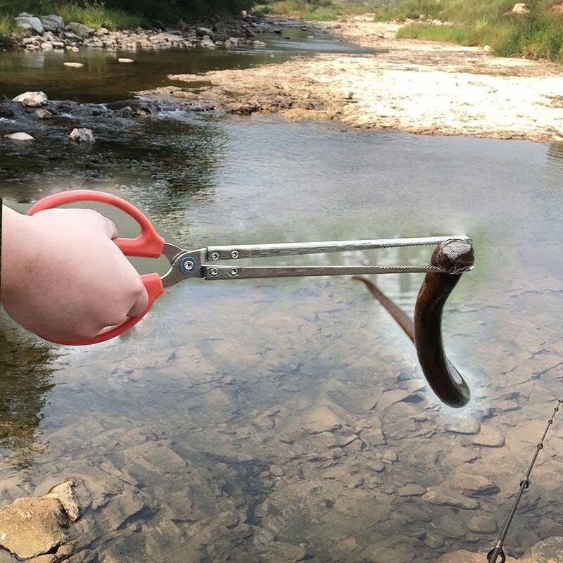 Multipurpose Eel & Fishing Clamp