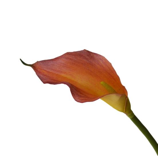 Искусственные цветы каллы на длинном стебле, букет искусственных цветов, реалистичные цветы из латекса на ощупь для декора дома, спальни, офиса, свадьбы, вечеринки, мероприятия