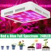 500W 2 Mode Switch Full Spectrum LED Grow Light Phytolamp 240 Led Chips Plant Greenhouse Light For Indoor Plant