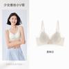 Lace V-neck underwear ultra-thin breathable no steel ring bra adjustable breast light and thin versatile bra