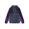 Nike Флисовая толстовка ACG Wolf Tree FN0371-328
