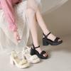 Fairy Style Thick Soled Sandals for Women Wearing Summer  New Thick Heels with Fashionable Beach Shoes