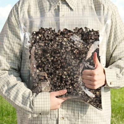 Плоды дерева Deongdalsam Hovenia 1кг