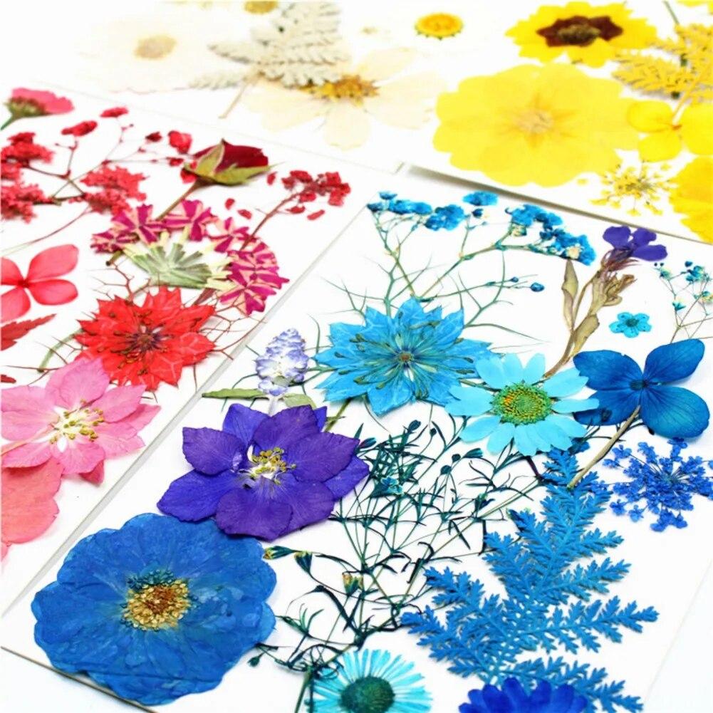 15pcs Dried Flower Natural Flower Stickers Dry Beauty Decal For DIY Plants Art Craft Floral Decors Making Accessories
