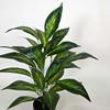 Dracaena Artificial Plant Flower In Pot 65