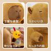 Miaomyao Plush Animal Toy, Capybara Chick, Fluffy and Soothing Item, Birthday Gift for Kids and Adults, 25cm