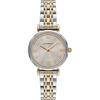 Женские кварцевые часы Gianni T-Bar серо-биколорные AR11702
