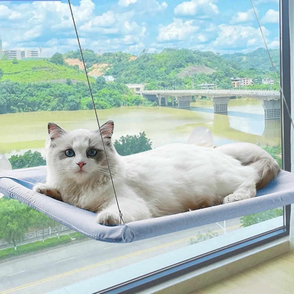Cat Window Perch Suction Cup Cat Hammock Foldable Window Sill Cat Bed For Cats All Season Pet Sleeping Bed