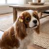 20pcs Mini Shape Dog Hair Flower 3cm Width Mini Hair Barrette Heart BB Clip  Beauty Matching
