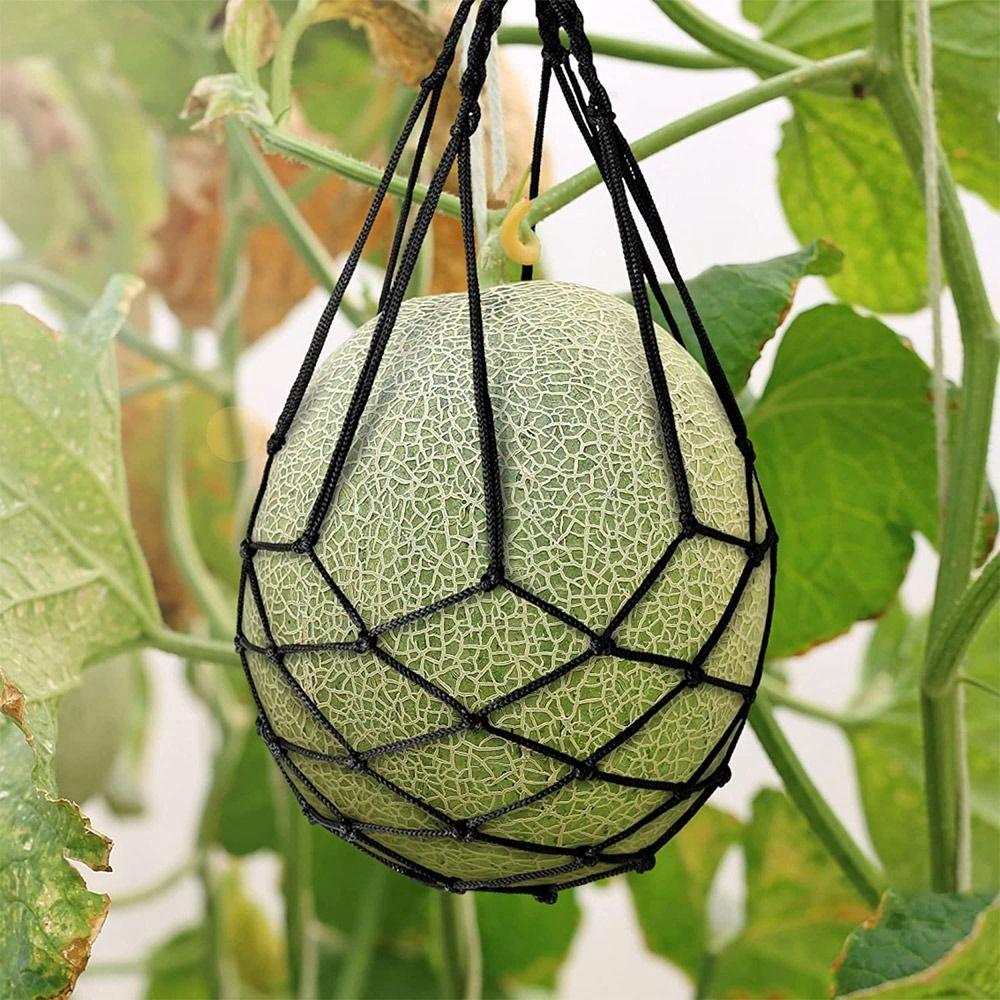 Fruit Garden Stand Holder Pumpkin Support Watermelon Nets Melon Hammock Melon Cradle